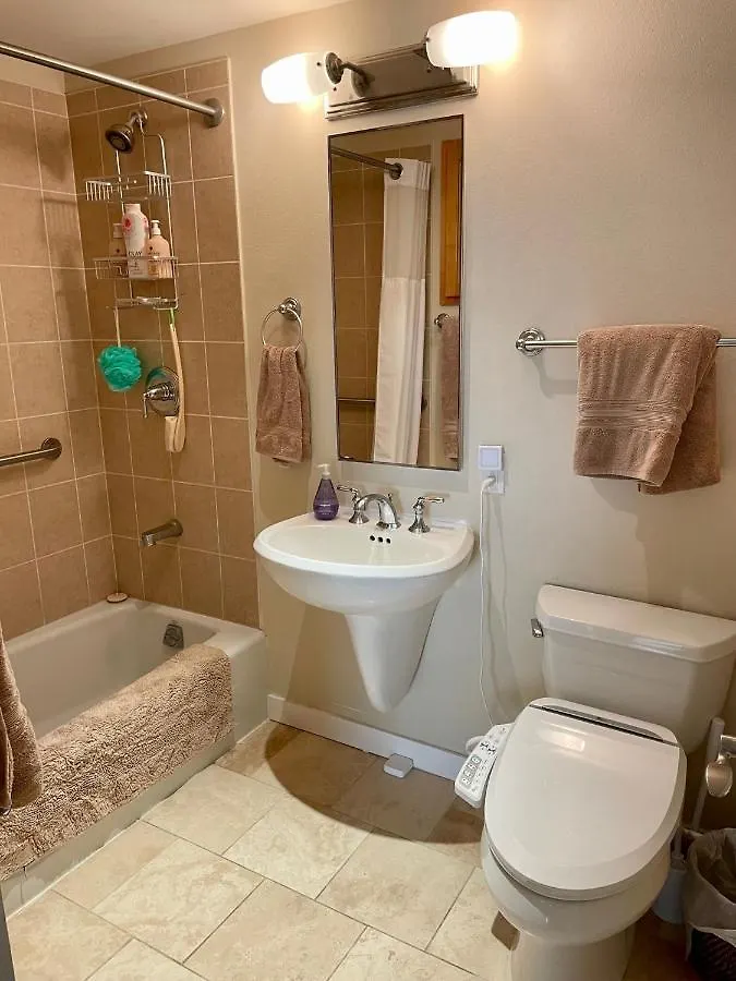 Lanikea Ocean View Apartment Condo Honolulu