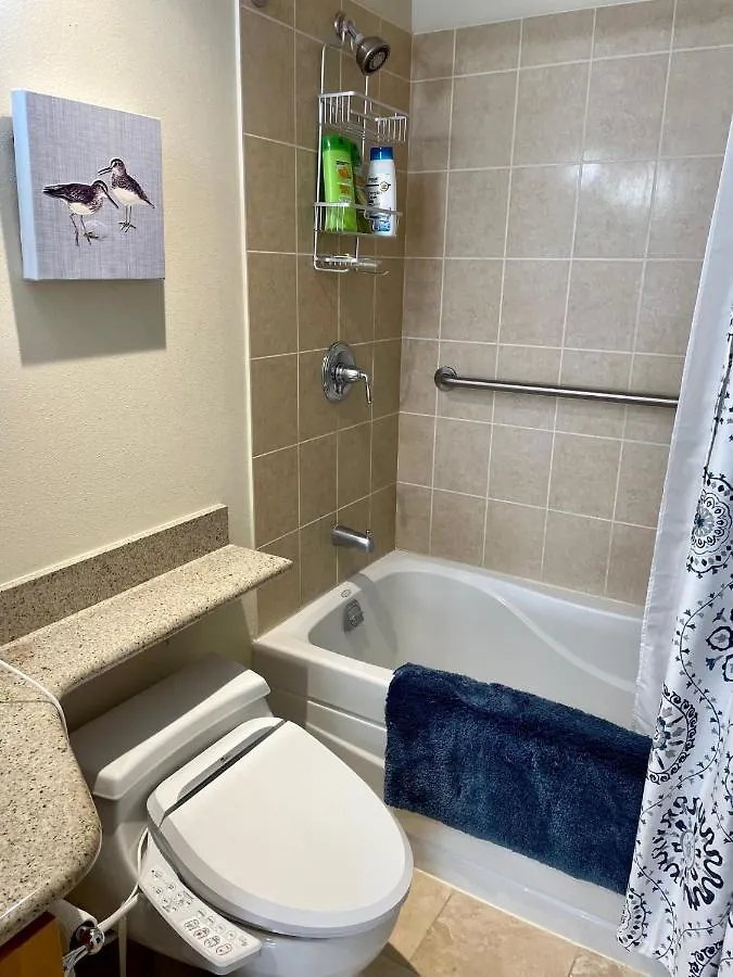 Lanikea Ocean View Apartment Condo Honolulu